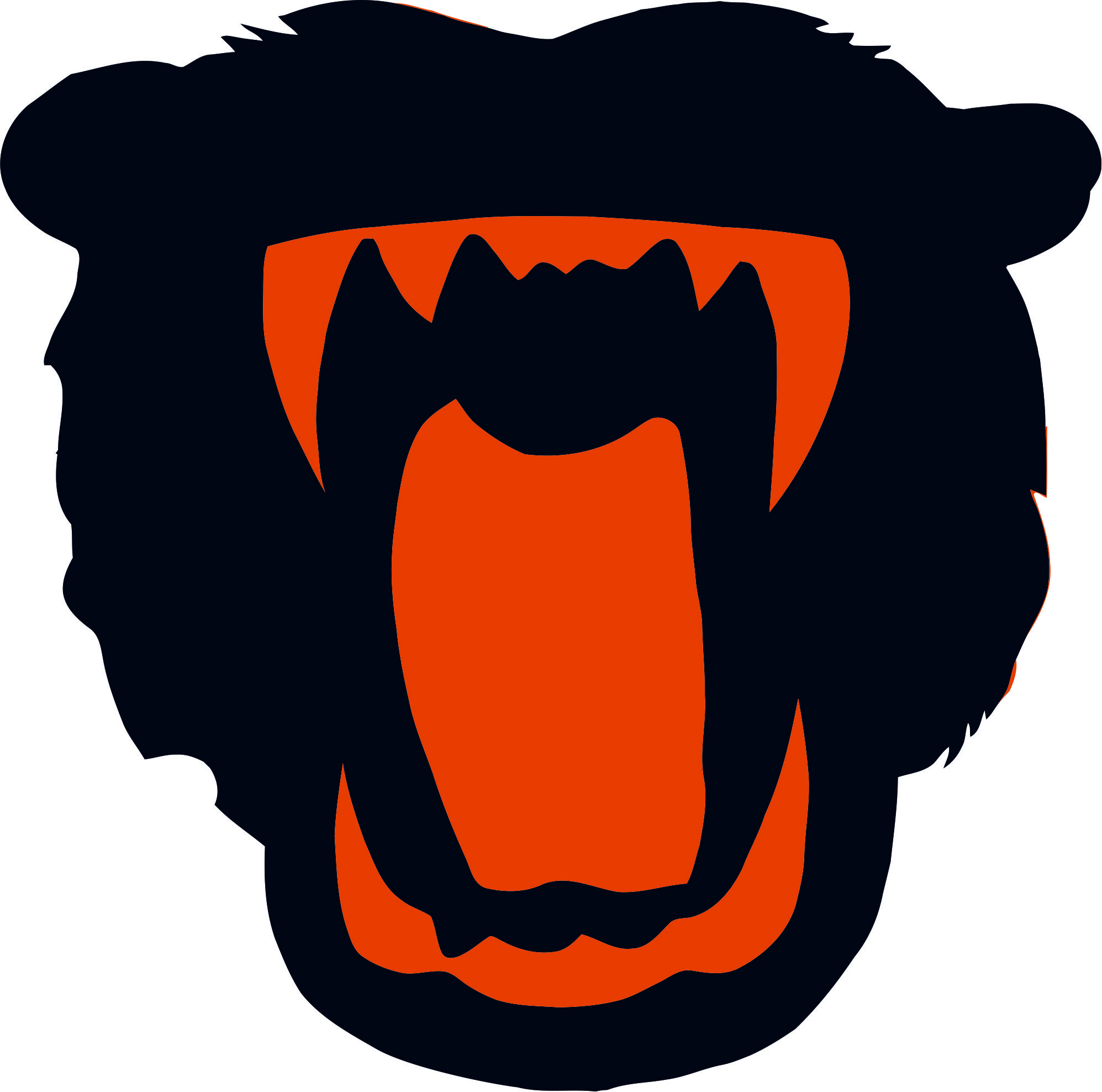 Chicago Bears Halloween Logo DIY iron on transfer (heat transfer)